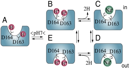 Fig. 4.