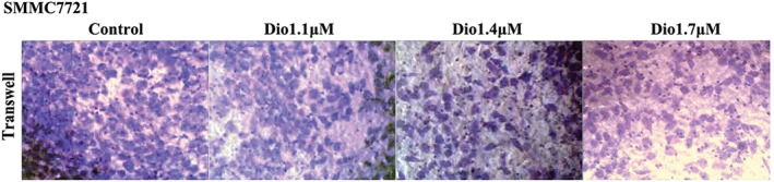 Figure 1b