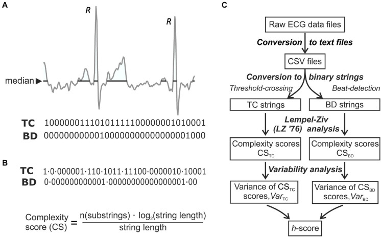 FIGURE 1