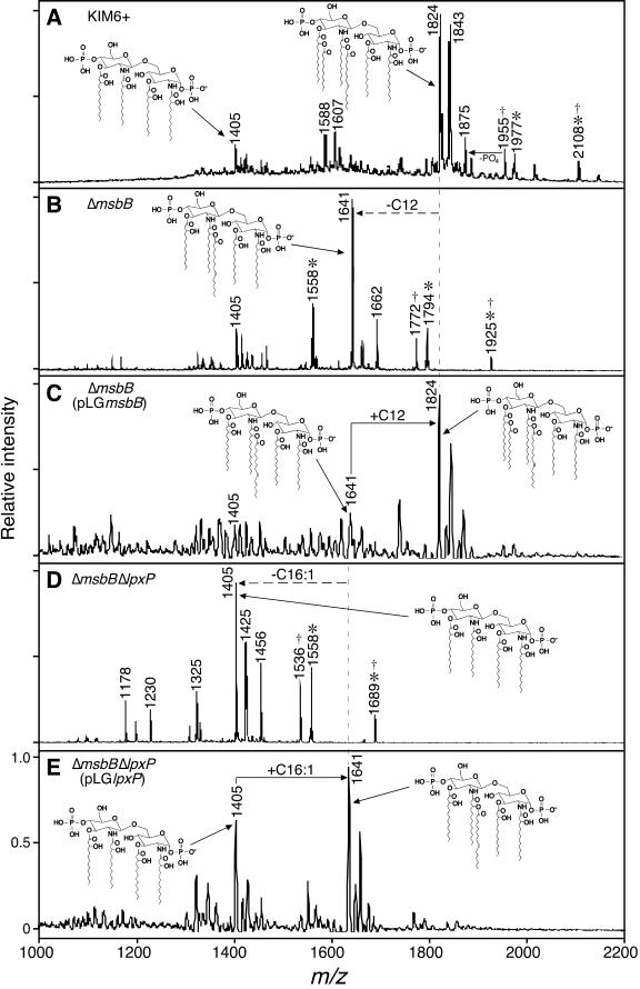 FIG.2.