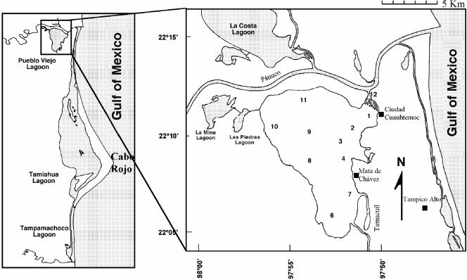 FIG. 1.