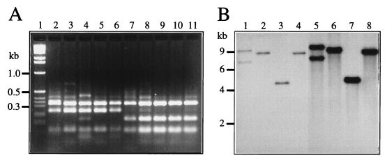 FIG. 5