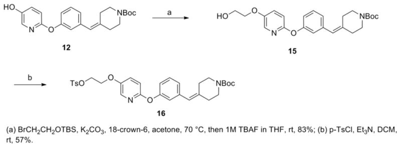 Scheme 2