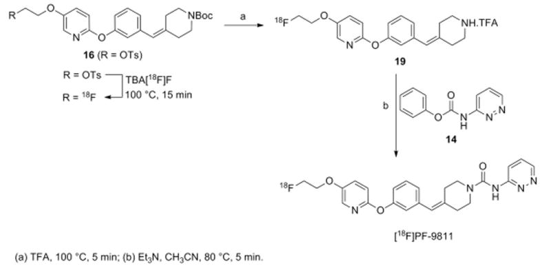 Scheme 5