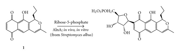 Scheme 1
