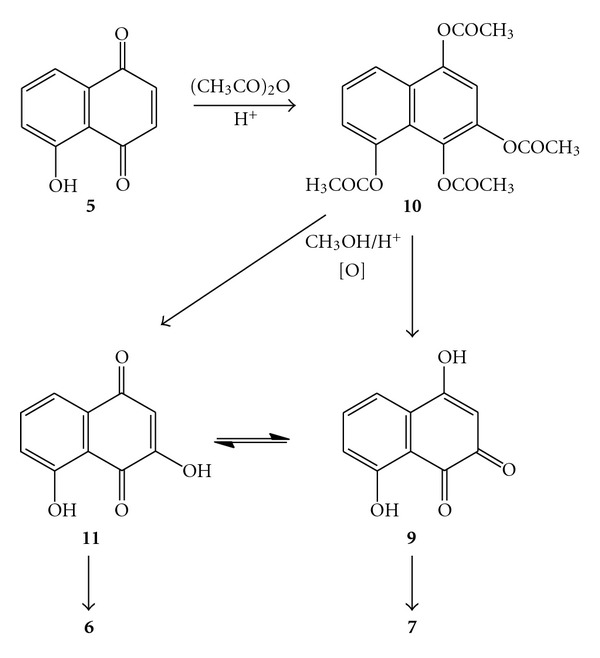 Scheme 2