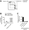 Figure 2—figure supplement 1.