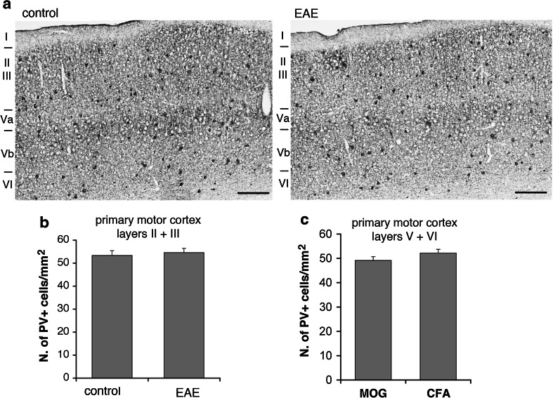 Fig. 7