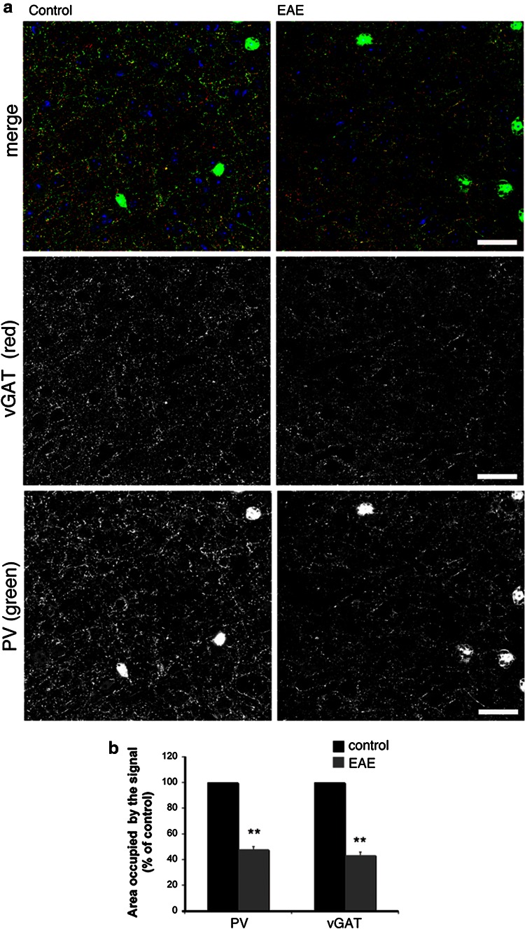 Fig. 9