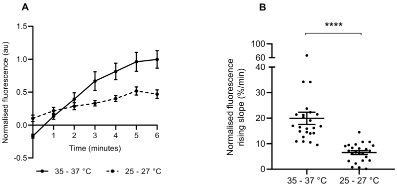 Fig. 9