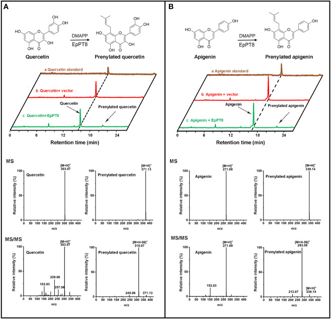 Figure 5