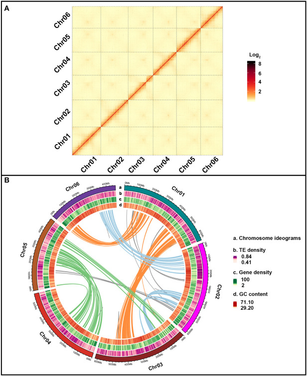 Figure 2