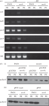Figure 7.