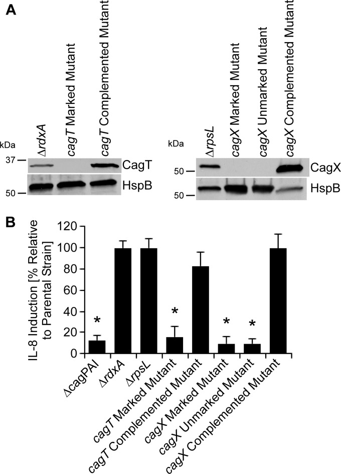 FIG 6