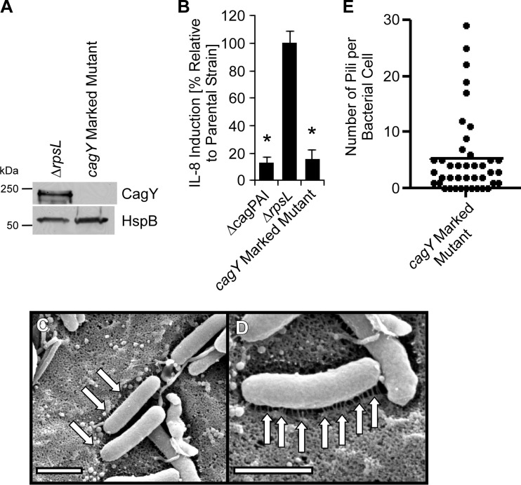 FIG 5