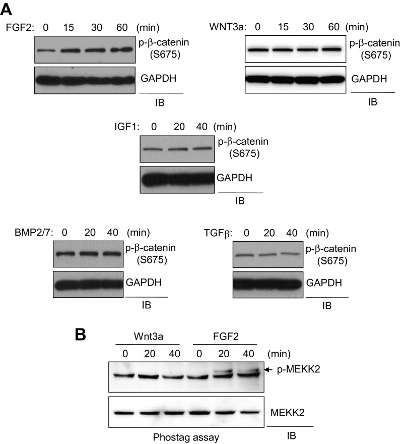 Fig. S9.