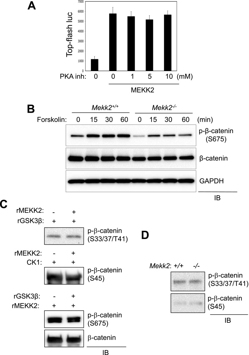 Fig. S5.