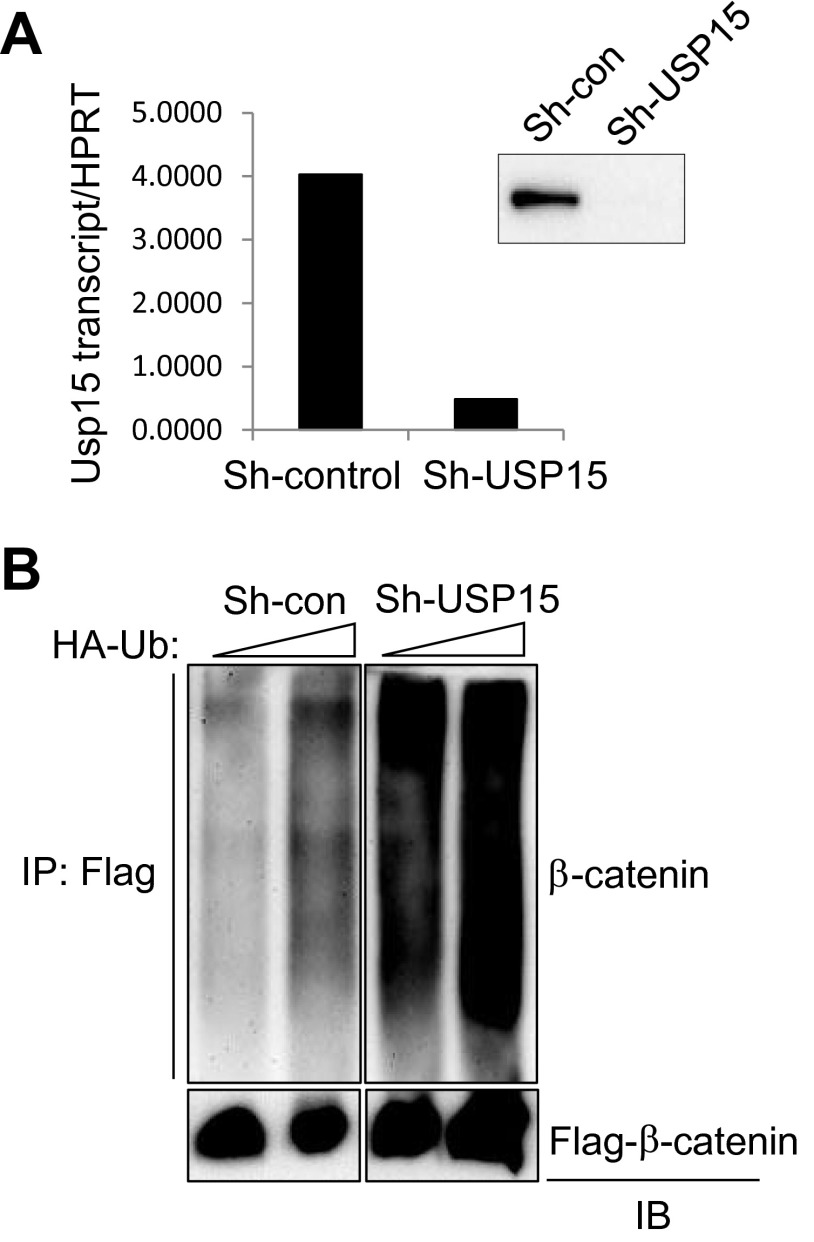 Fig. S8.