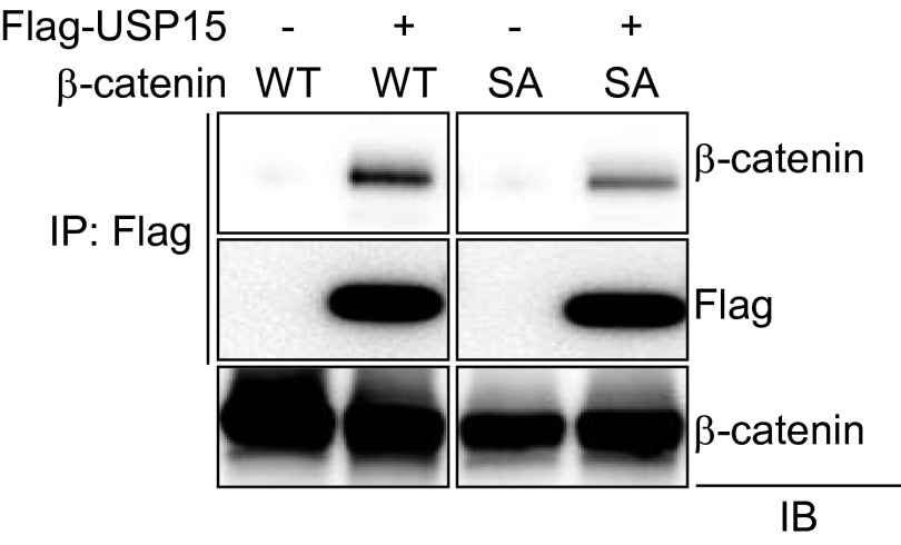 Fig. S6.