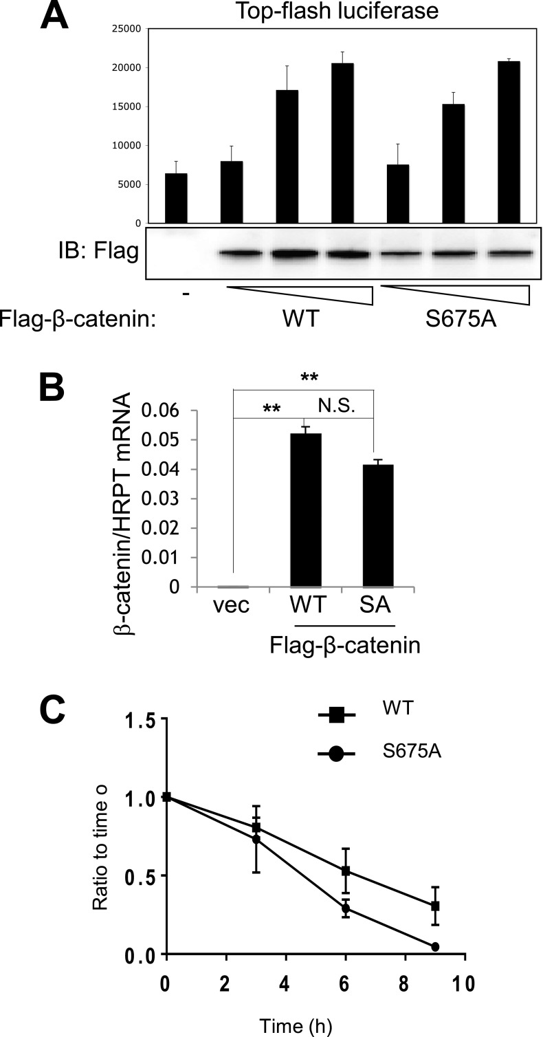 Fig. S4.