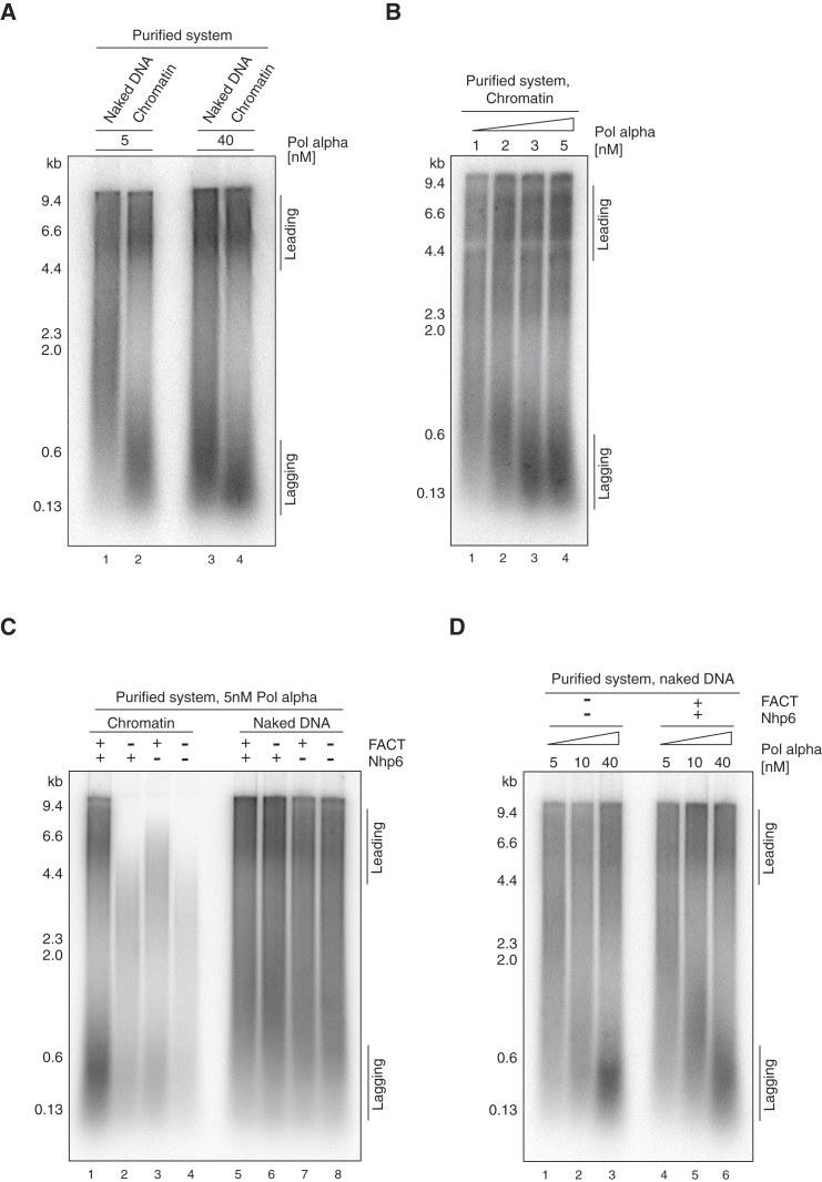 Figure 6