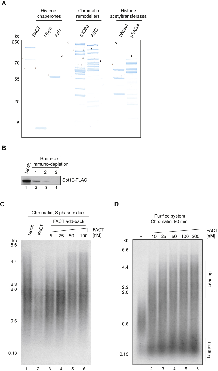 Figure 3