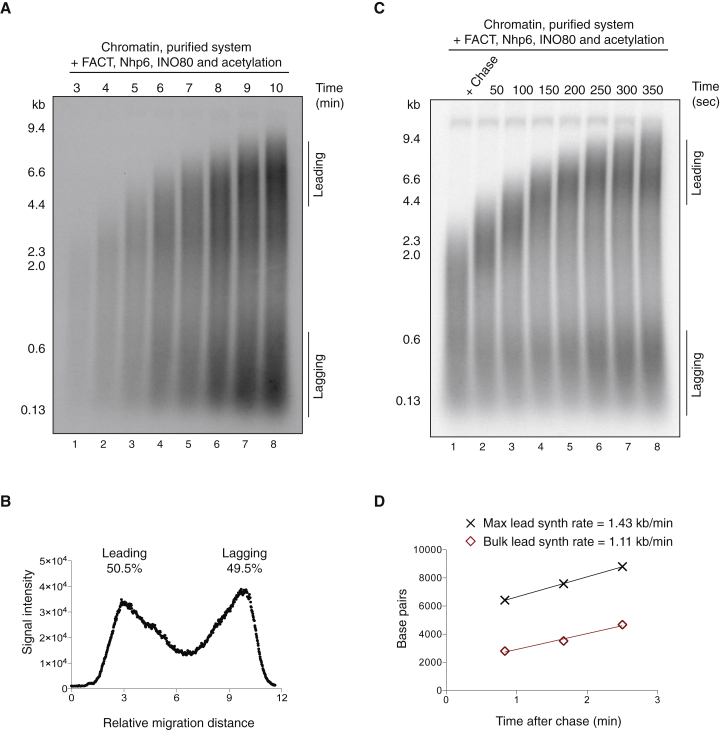 Figure 5