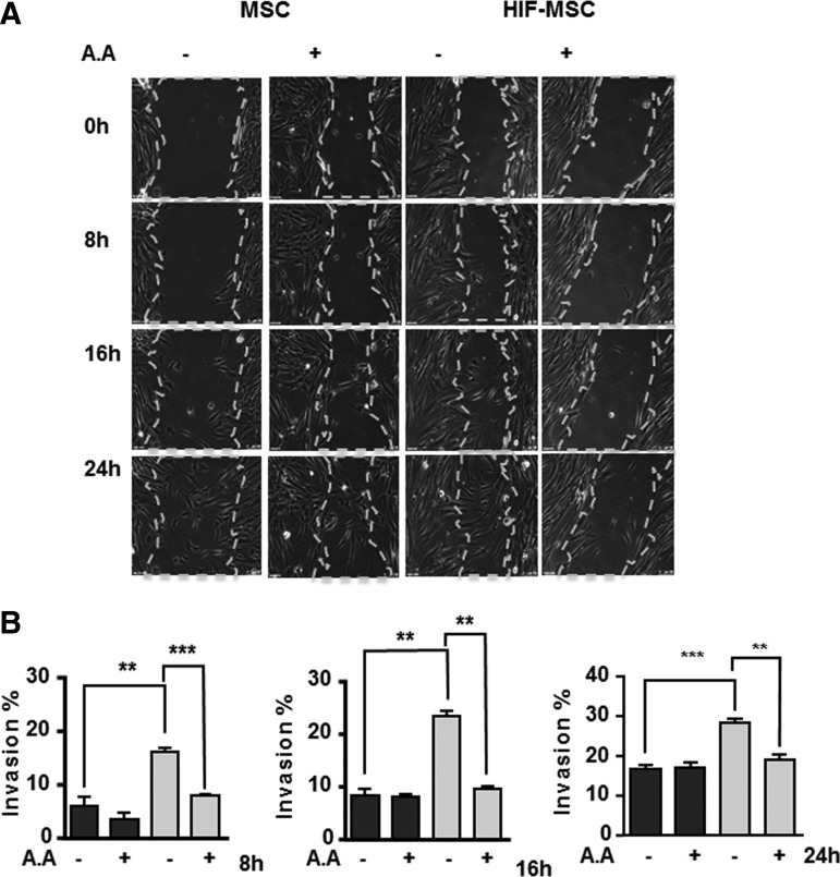 FIG. 6.