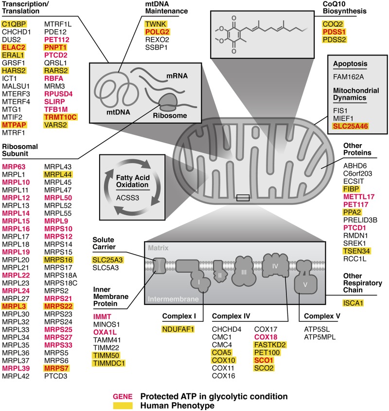 Fig 4