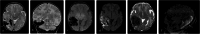 Fig. 6