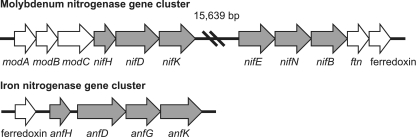 Fig 5