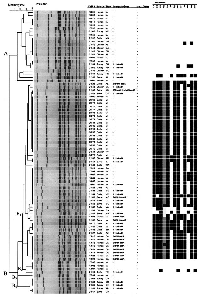 FIG.1.