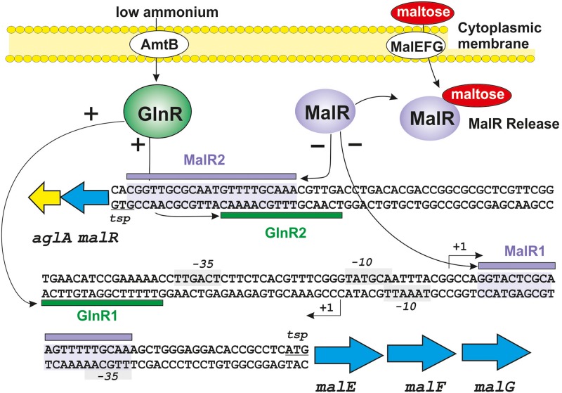 FIGURE 3