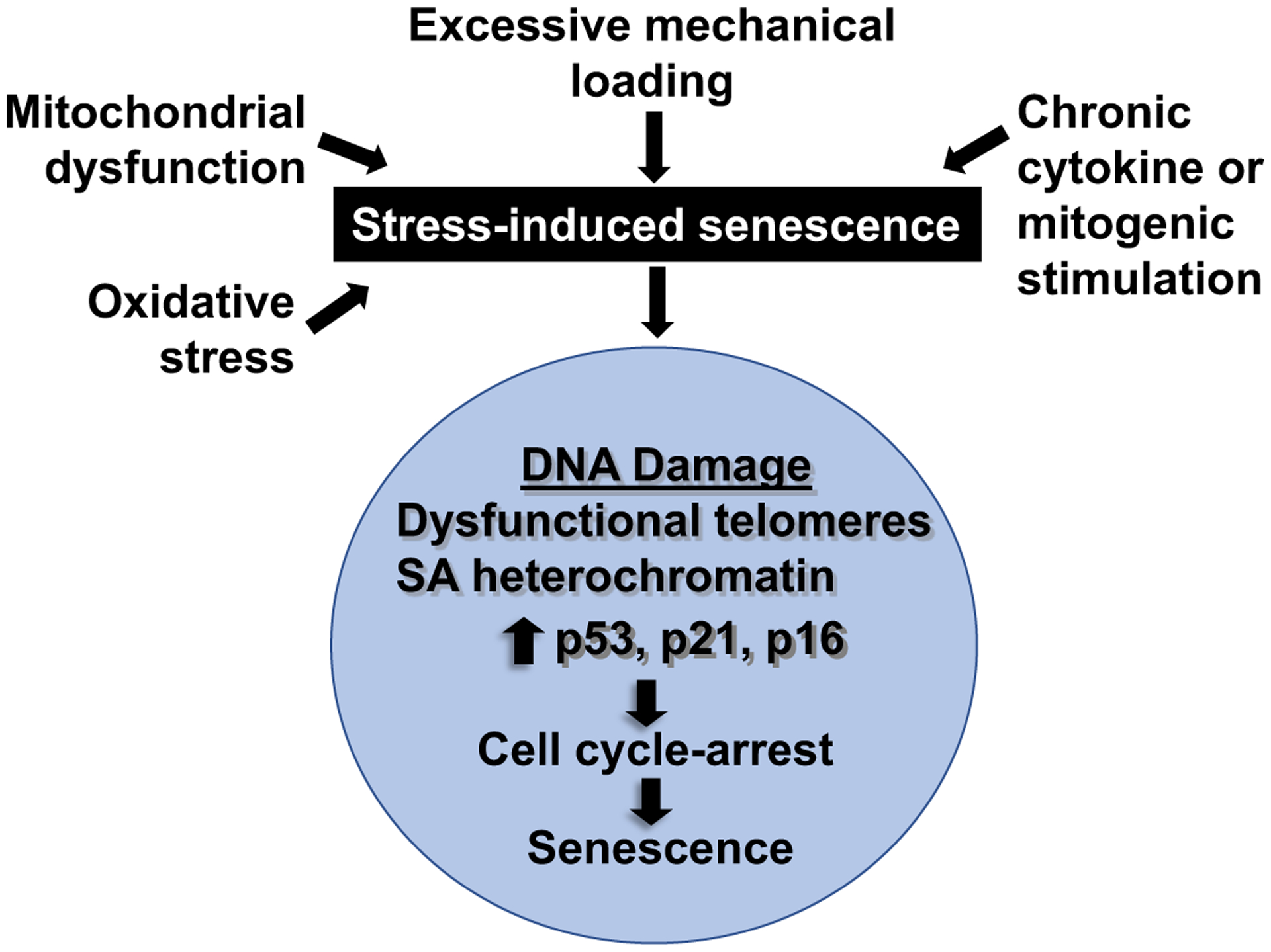 Figure 5: