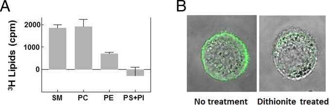 Fig. 4.