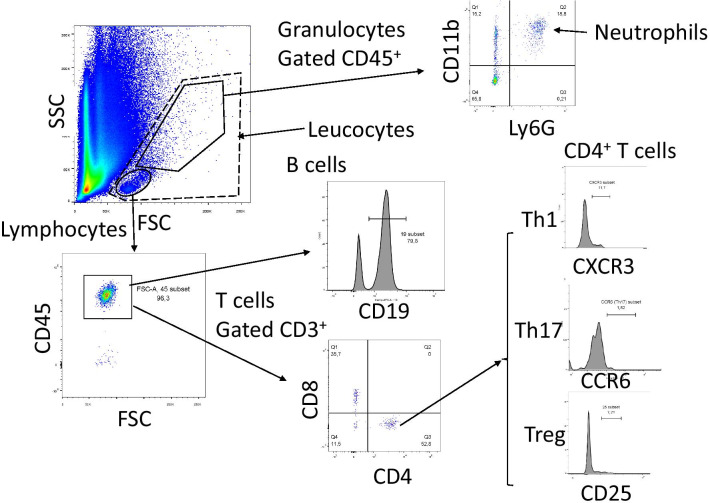 Fig. 2