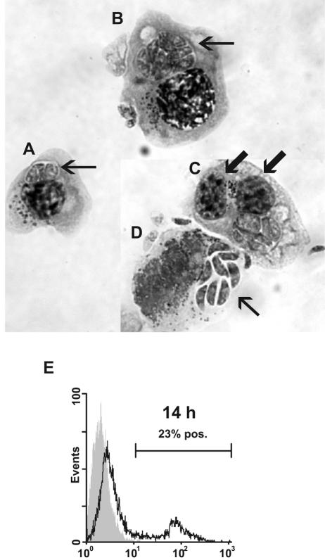 FIG. 6.