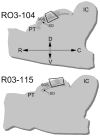 Fig. 2