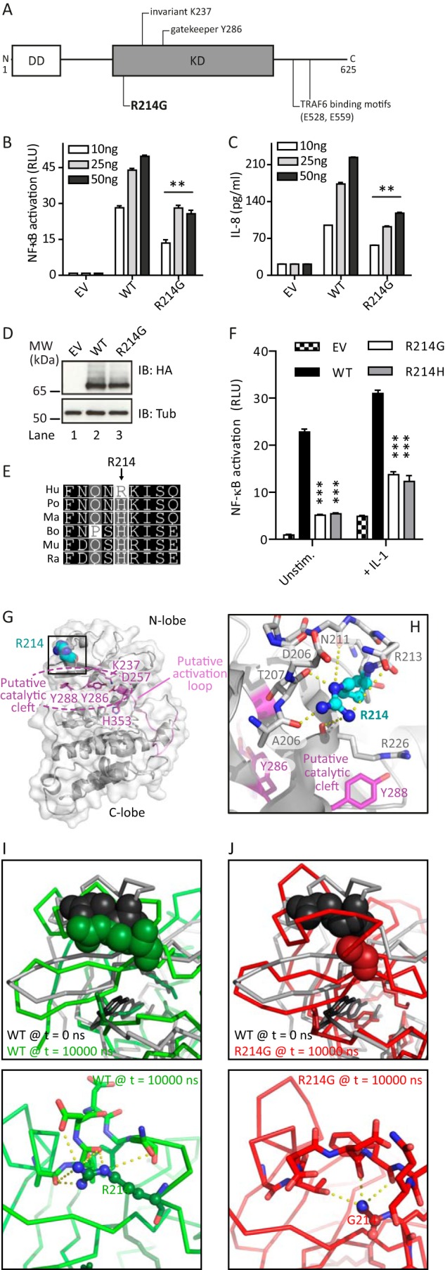 FIGURE 1.