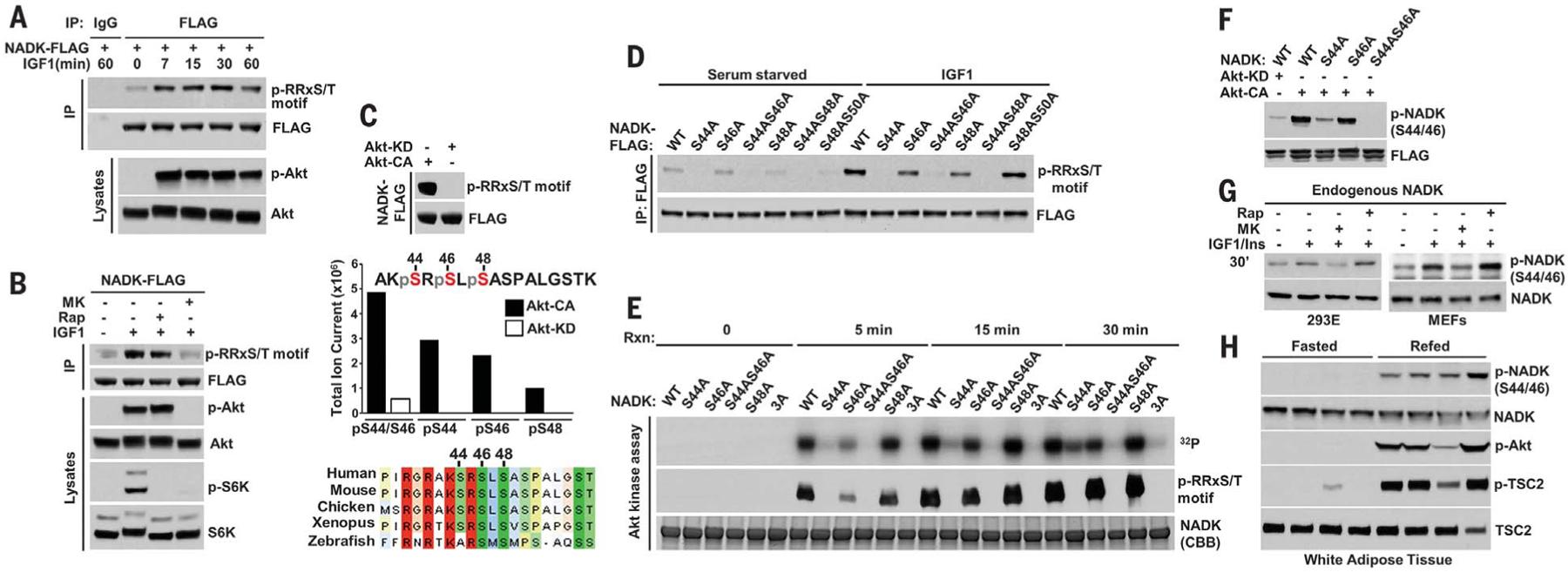 Fig. 2.