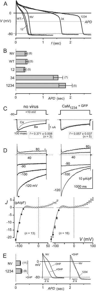 Fig 3.