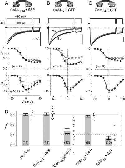 Fig 2.