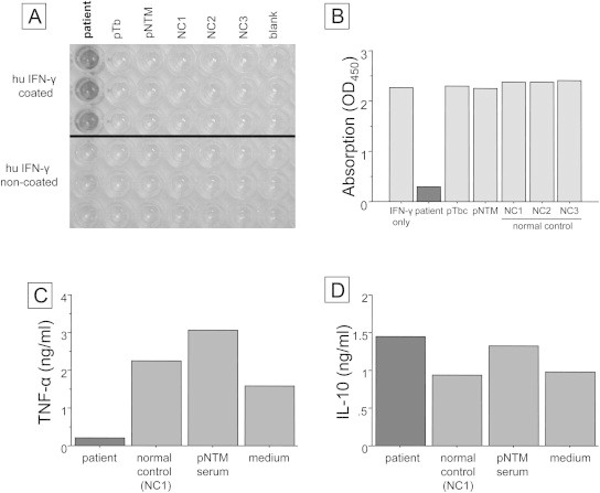 Fig. 2