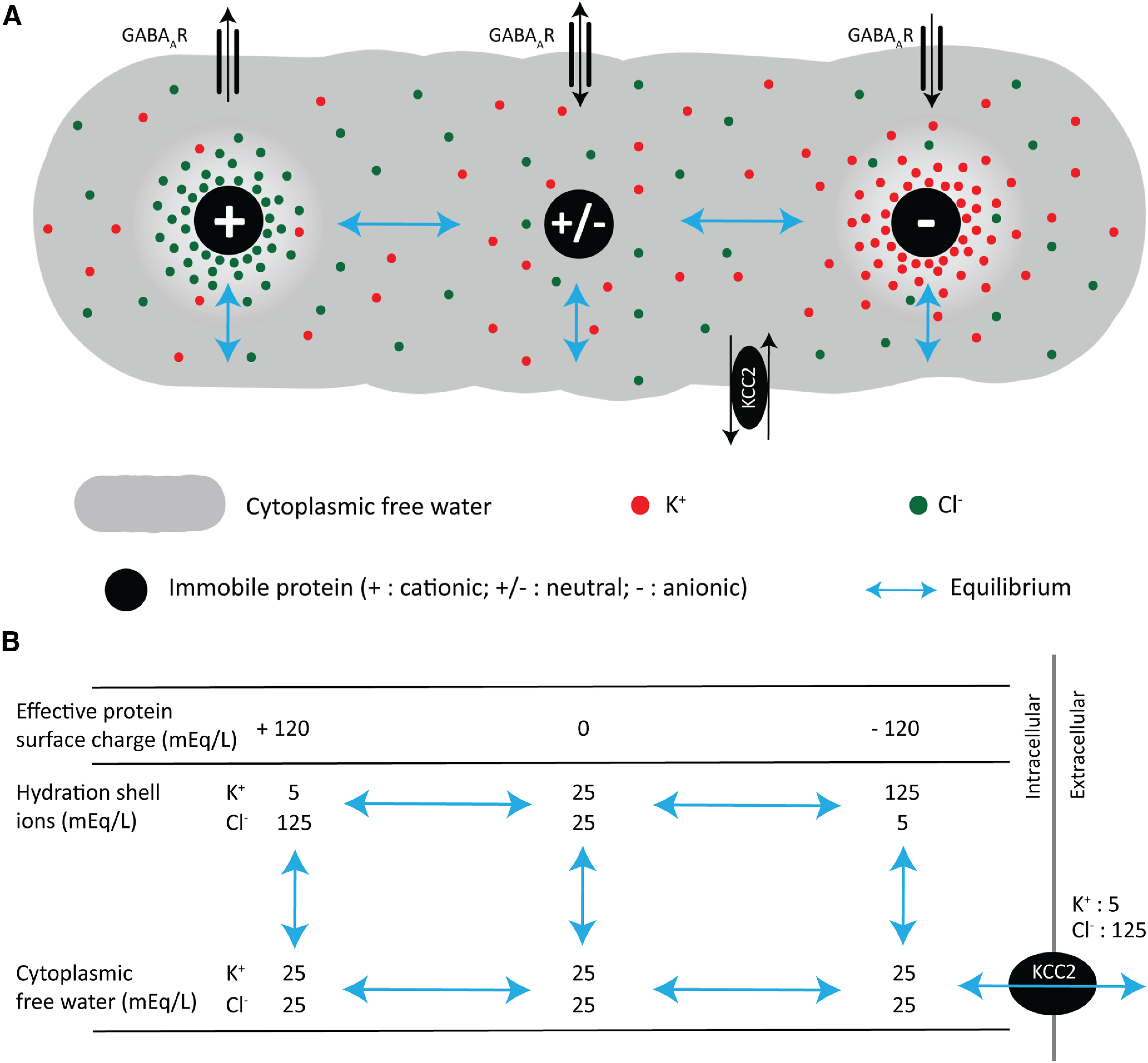 Figure 10.