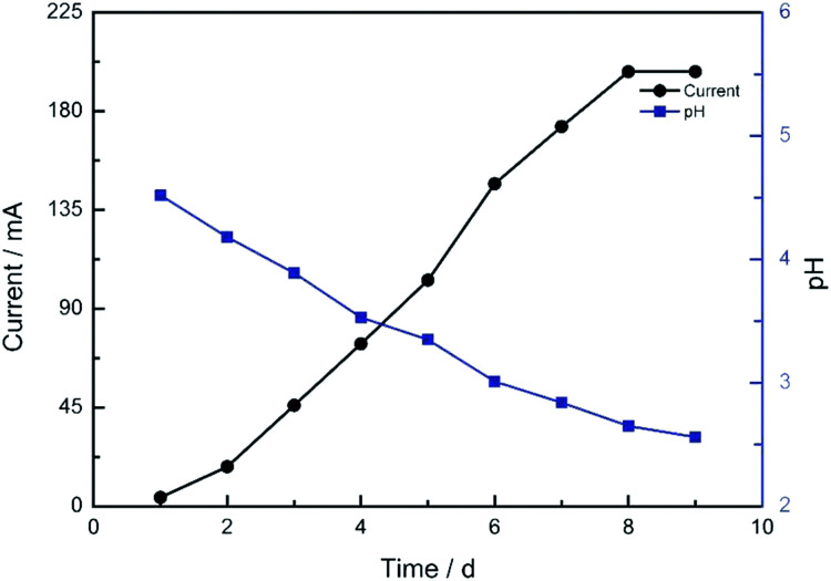 Fig. 2