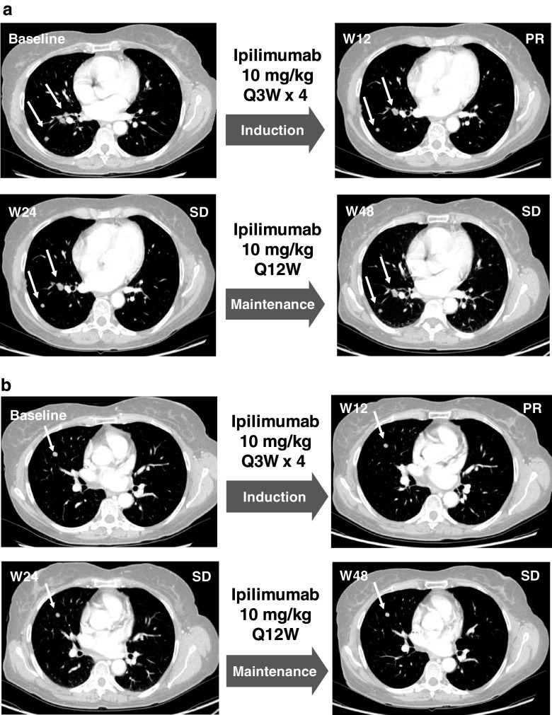 Fig. 3