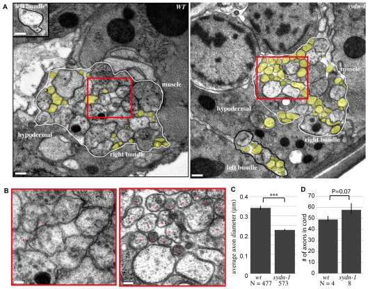 Fig. 3.