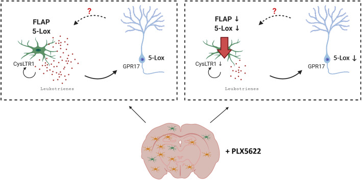 Fig. 11