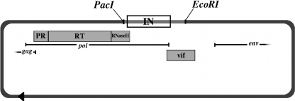 FIG. 1.