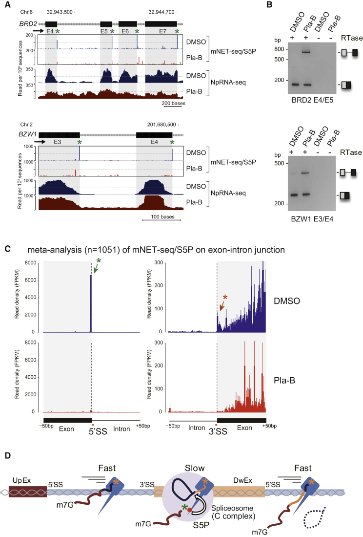 Figure 4